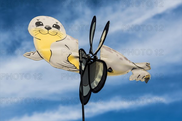 Sea seal as wind chime