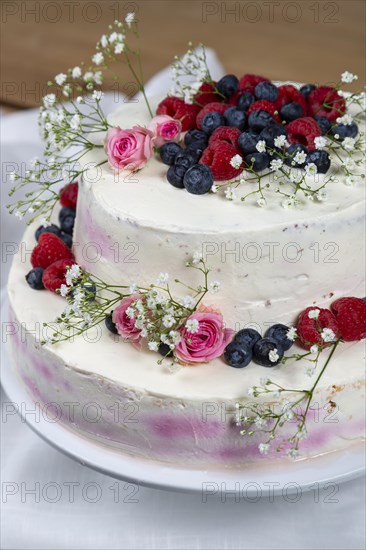 A two tier wedding cake decorated with berries and flowers festive cream cake on a light background