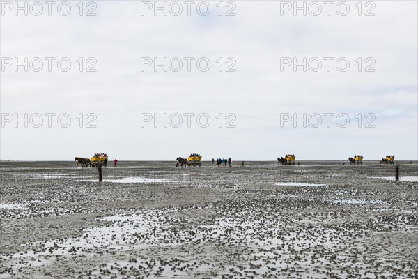 Waders and horse-drawn carriages