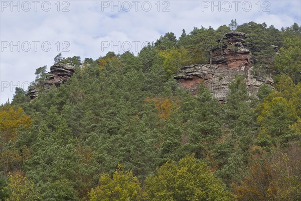 Rocks in the Palatinate Forest