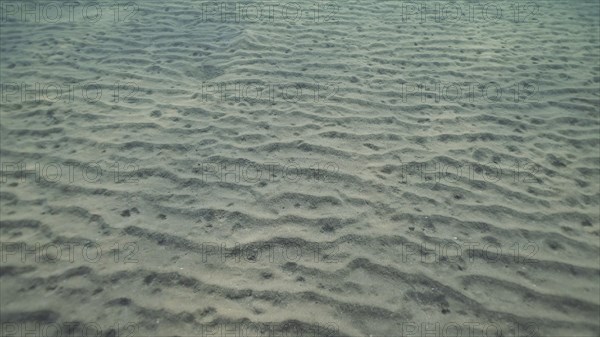Sandy silty bottom with sunraiy in the morning time. Natural background from the underwater depth