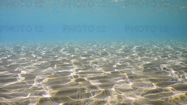 Sandy shallow water in sunburst and glare on seabed sand. Sunlight passes through surface of turquoise water and glares on sandy bottom in shallow water on bright sunny day