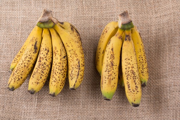 Bunch of yellow freckled bananas on a canvas texture