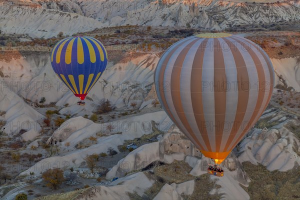 Hot air balloon