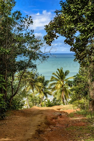 Arrival trail at Prainha