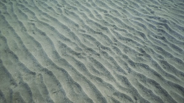 Sandy bottom covered with sand hills