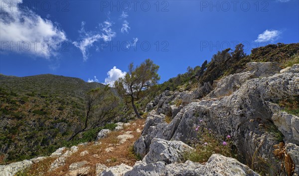 Typical Greek or Cretan landscape