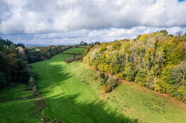 Forests and Farms over Berry Pomeroy