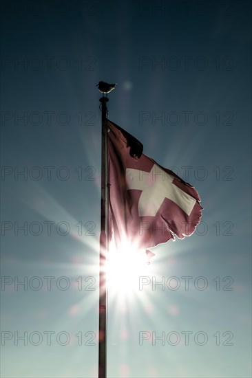 Swiss Flag with Sunbeam