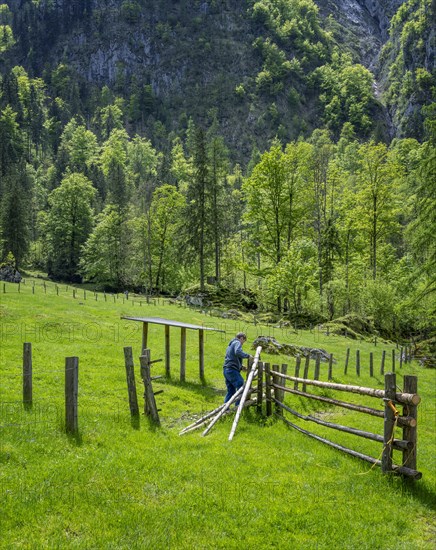 Alpine farmer working on the wooden fence