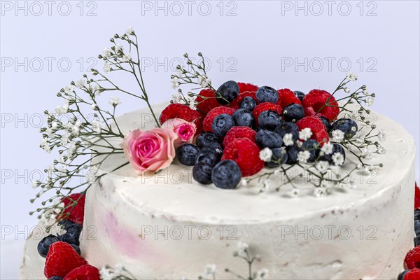 Summery fresh two tier wedding cake decorated with berries and flowers festive cream cake on light background