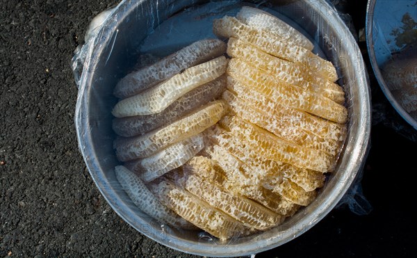 Sweet fresh honey in the sealed comb frame