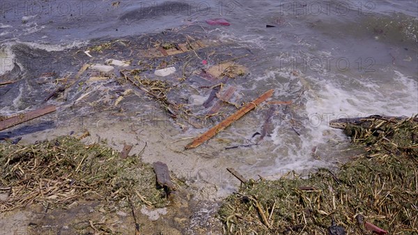 Close-up of floating debris has reached Black Sea beaches in Odessa