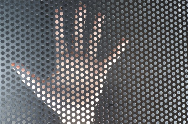 Hand Behind a Metal Grate