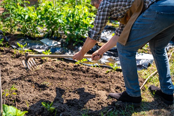 Master gardener teaching student girl in greenhouse flower nursery cultivating the soil