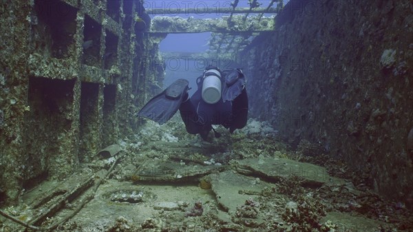 Scuba diver swim down corridor of ferry Salem Express shipwreck