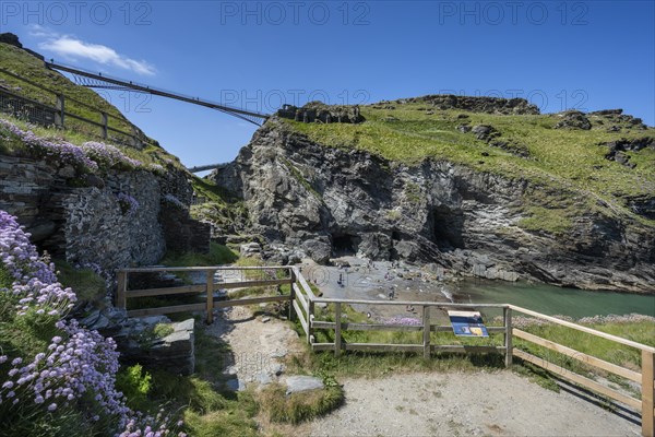 Viewing platforms on the cliffs of Tintagel with the old and new footbridge to the ruins of Tintagel Castle and the fabled Merlins Cave