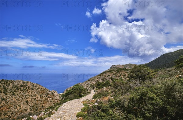 Typical Greek or Cretan landscape