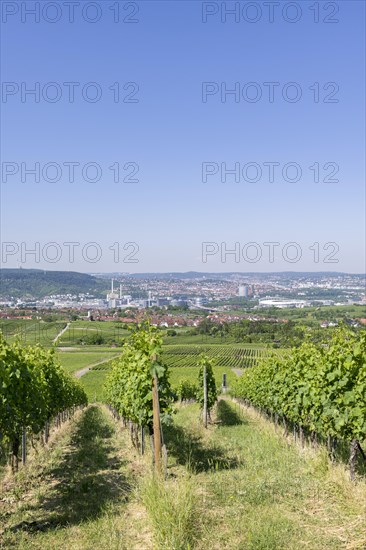 View of the city of Stuttgart with Mercedes-Benz plant Untertuerkheim