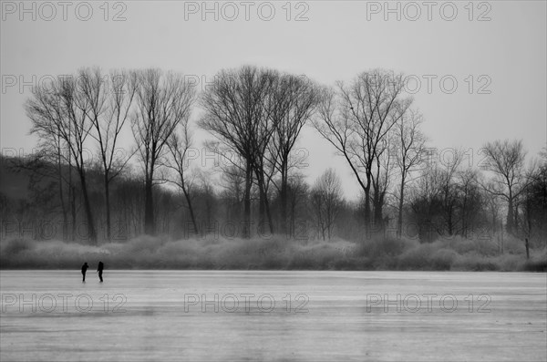 Ice Skating on a Frozen Lake with Bare trees in Italy