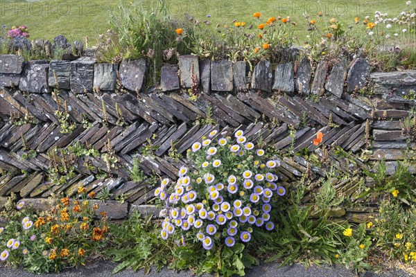 Wall made of slate slabs