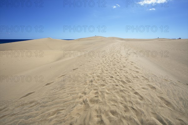 Maspalomas Dunes Nature Reserve