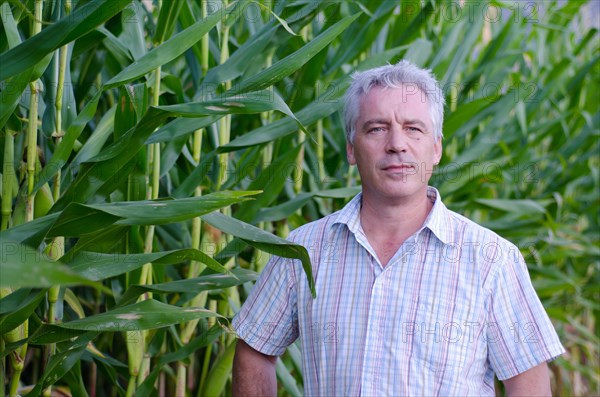 Happy Farmer Man with Grey Hair in His Corn Field. | MR:yes Maurizio CH 23-10-2013