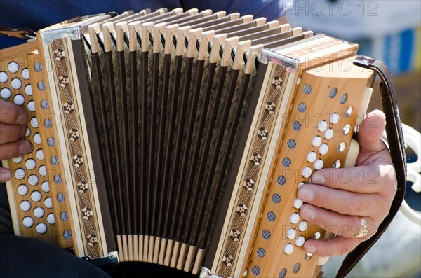 Man Playing on an Accordion