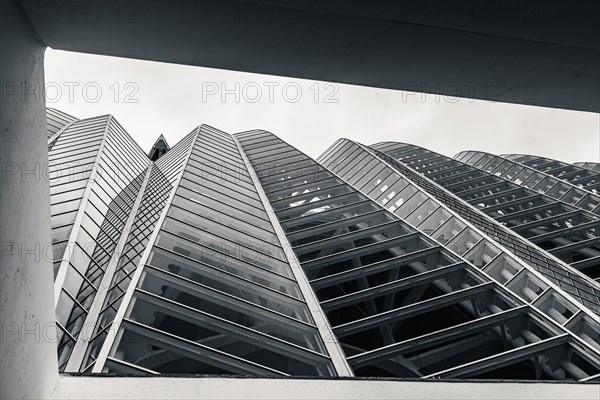 Architecture and buildings in Black and White over City of Arts and Sciences in Valencia