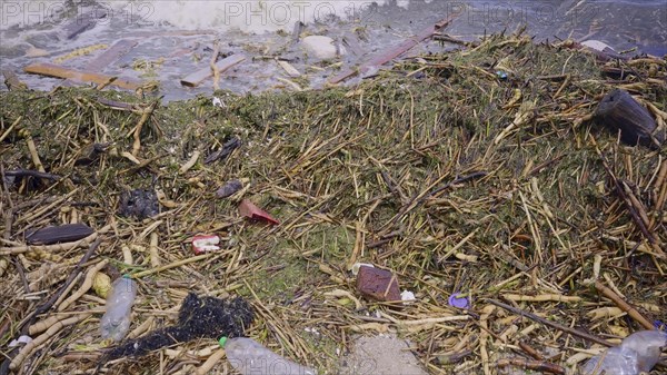 Close-up of floating debris has reached Black Sea beaches in Odessa