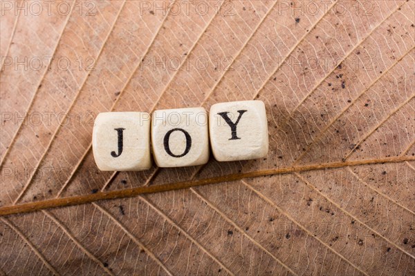 Text Message wording of the word JOY on a leaf