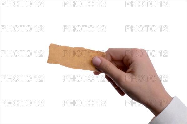 Hand holding a piece of blank torn notepaper