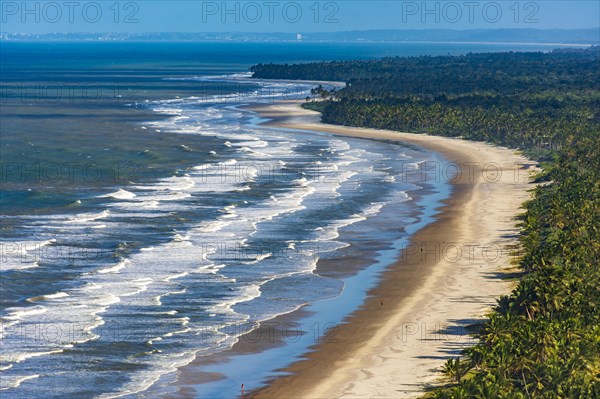 Top view of the beaches of Sargi and Pe de Serra with their coconut trees in Serra Grande on the south coast of the state of Bahia