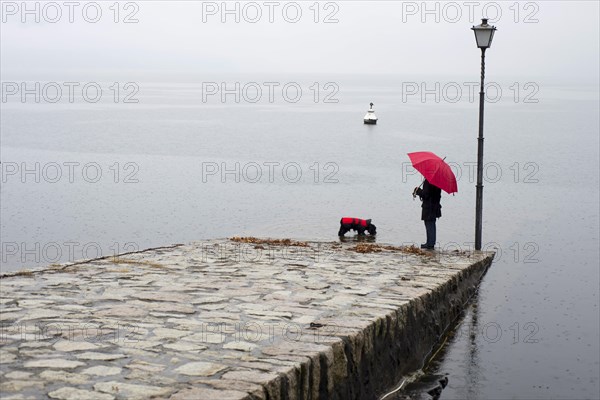 Woman with Her Dog and an Umbrella with Raincoat Standing on a Pier in Switzerland