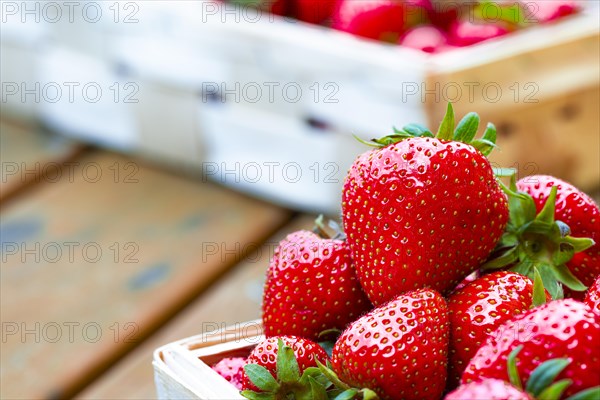 Strawberry