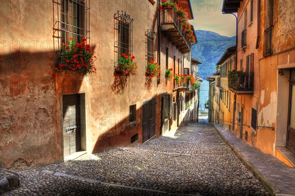 Tight alley with sunlight and old houses