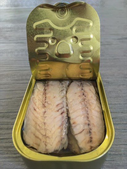 Mackerel in tin can