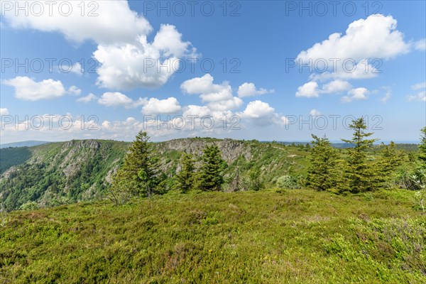 Landscape of the High Vosges near the riverbank road in spring. Collectivite europeenne d'Alsace