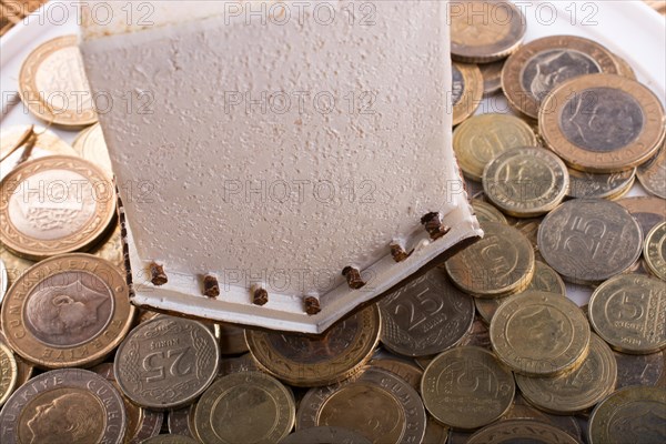 Turkish Lira coins by the side of a model house on white background