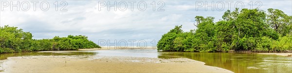 Sargi beach in the distance seen from inside the river that passes between the forest and the mangroves in Serra Grande