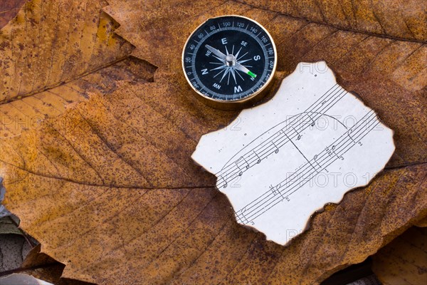 Compass an instrument and paper with musical notes placed on dry leaves