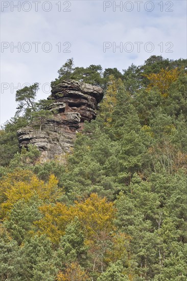 Rocks in the Palatinate Forest