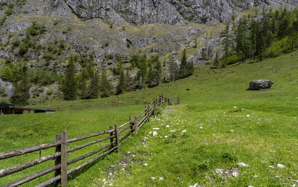 Landscape and mountain pasture at Obersee