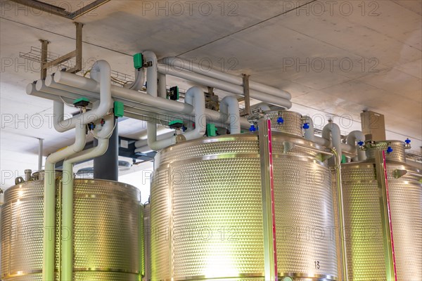 Modern Winery Stainless Steel Containers in Switzerland