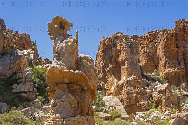 Sandstone rock formations at Truitjieskraal in the Matjiesrivier Nature Reserve