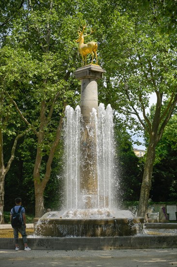 Fountain Zum Goldenen Hirschen