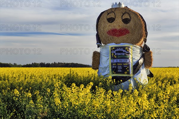 Straw puppet in a rape field