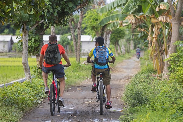 Western tourist with Indonesian guide riding mountain bikes during bicycle tour among rice fields on the island Lombok