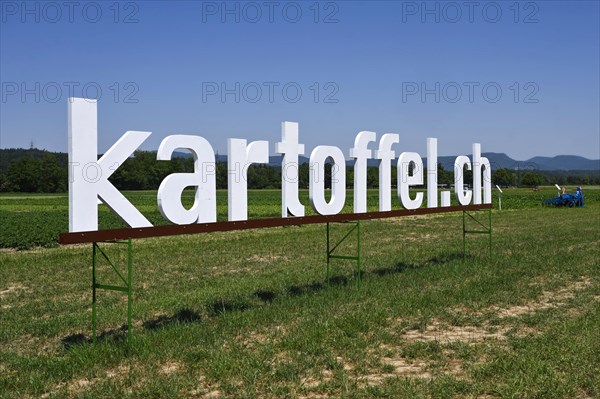 Writing Kartoffel.ch