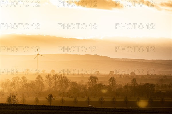 A car driving along a country road in the evening light near Oschersleben